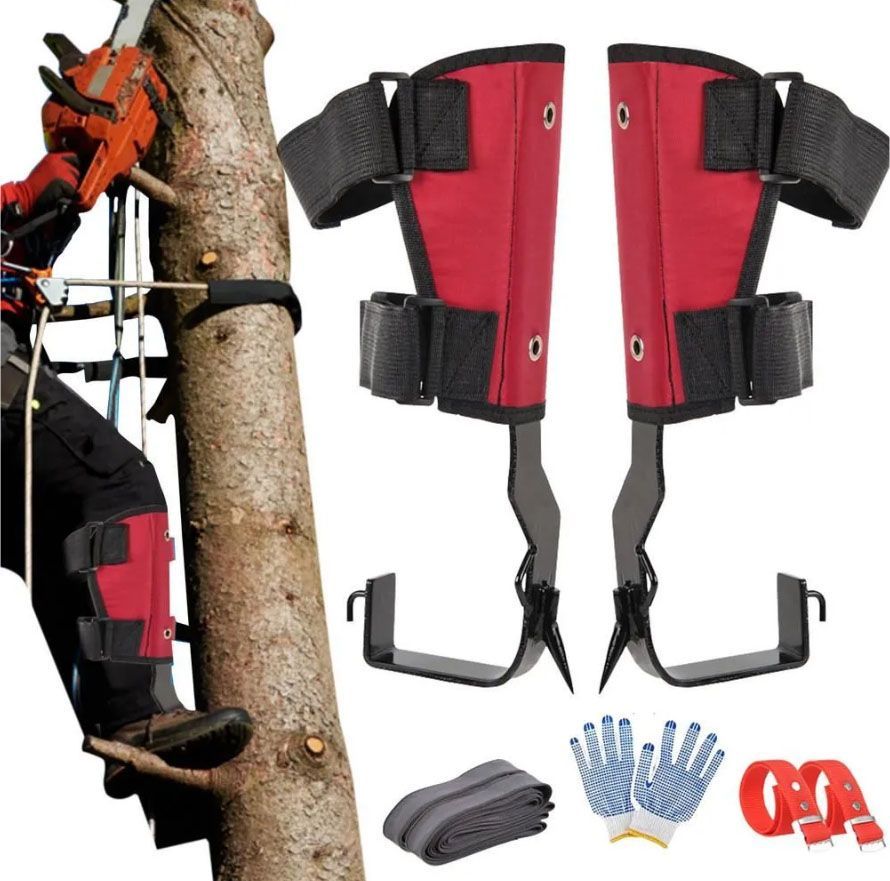 Explore the Thrilling World of Tree Climbing with Gaffs!