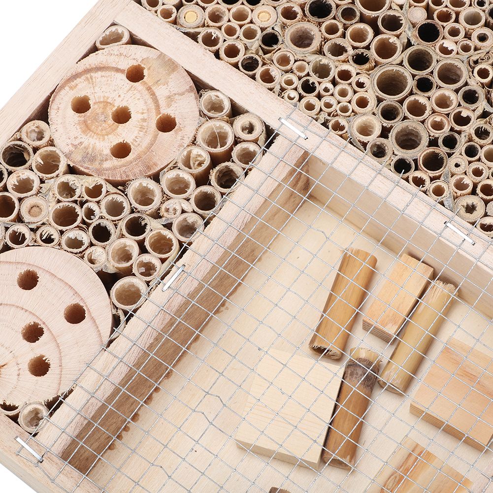 Bug room. Bug room