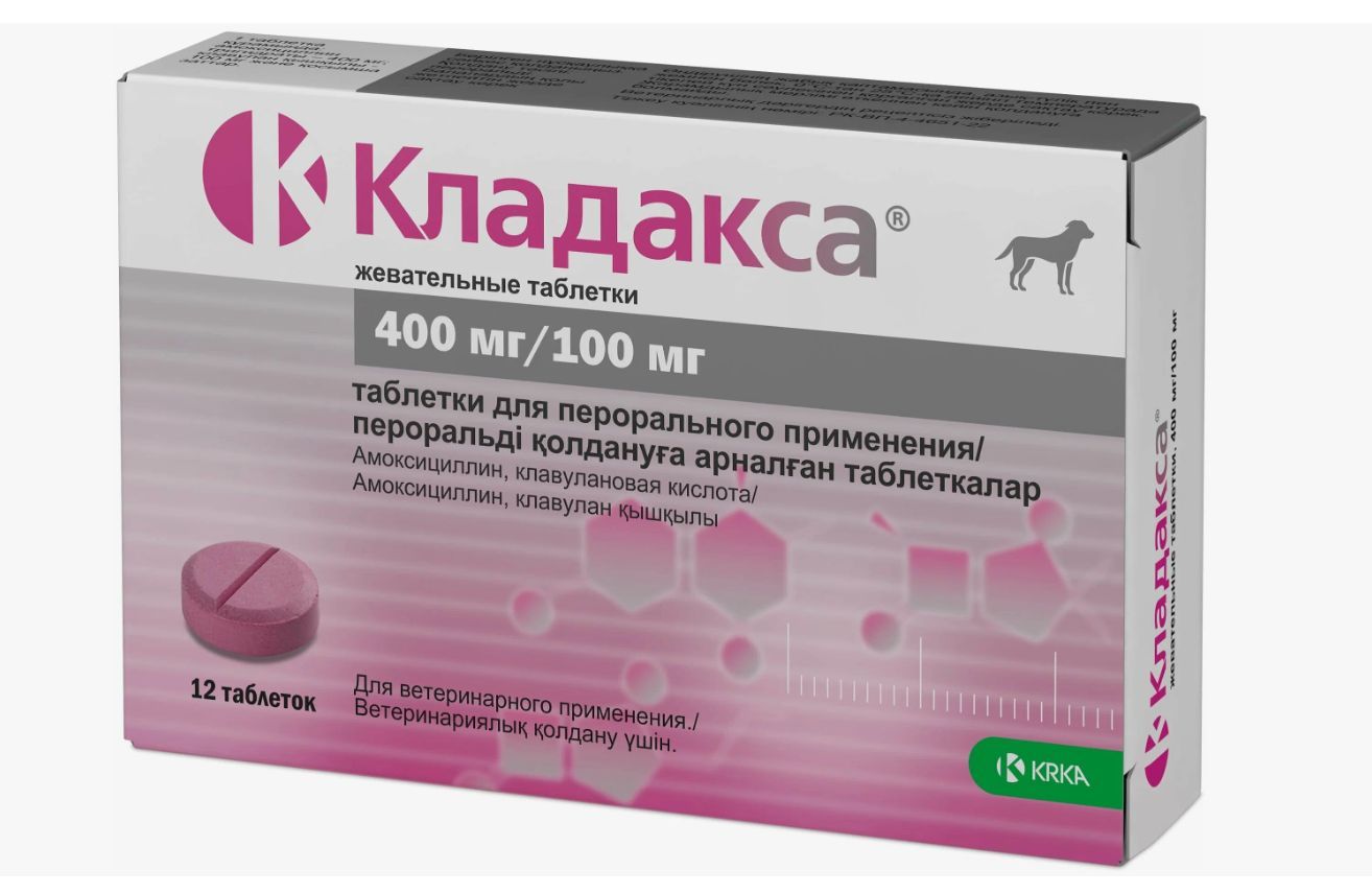 Антибактериальный препарат для кошек и собак KRKA Кладакса 400 мг / 100 мг,  антибиотик амоксициллин для животных, жевательные таблетки, 12 шт