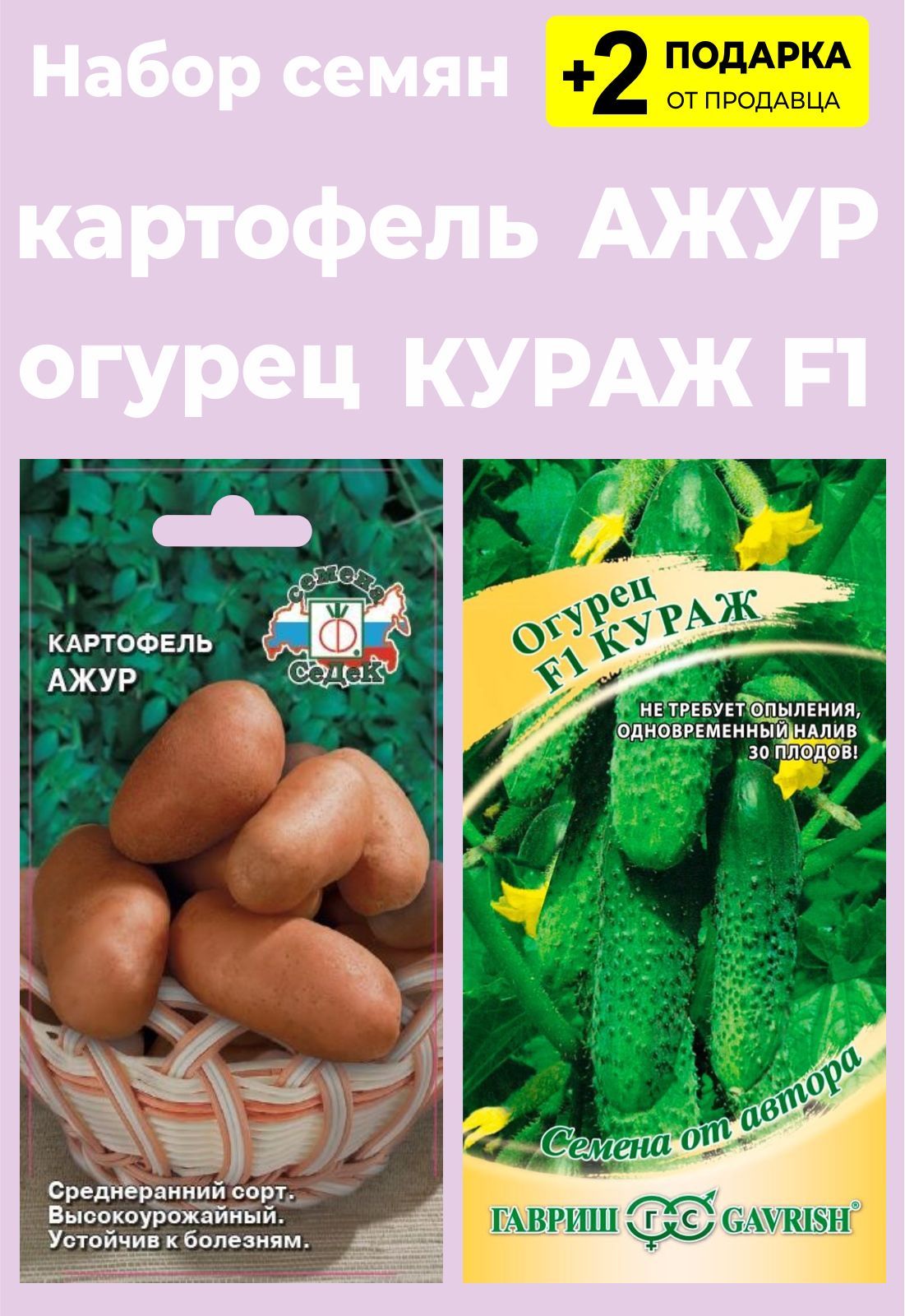 Картофель ажур описание отзывы