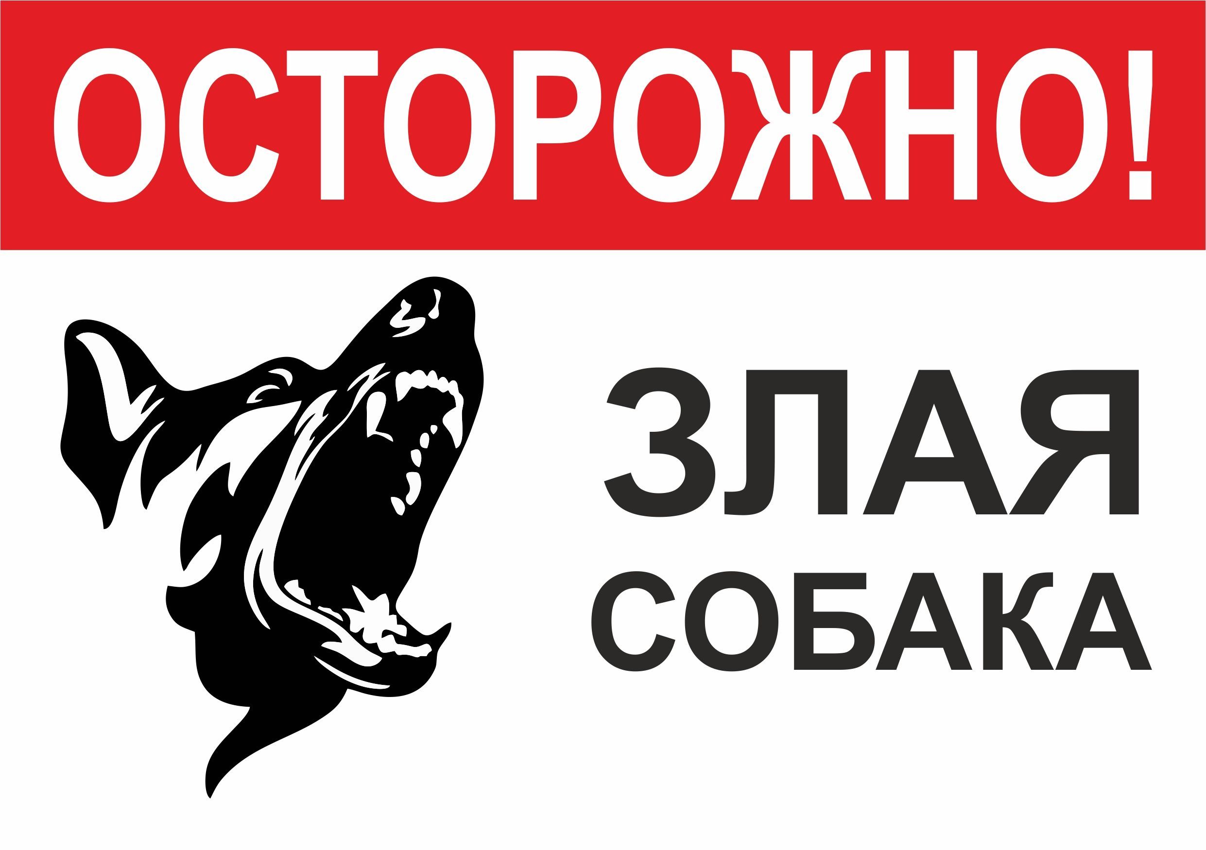 Злая собака