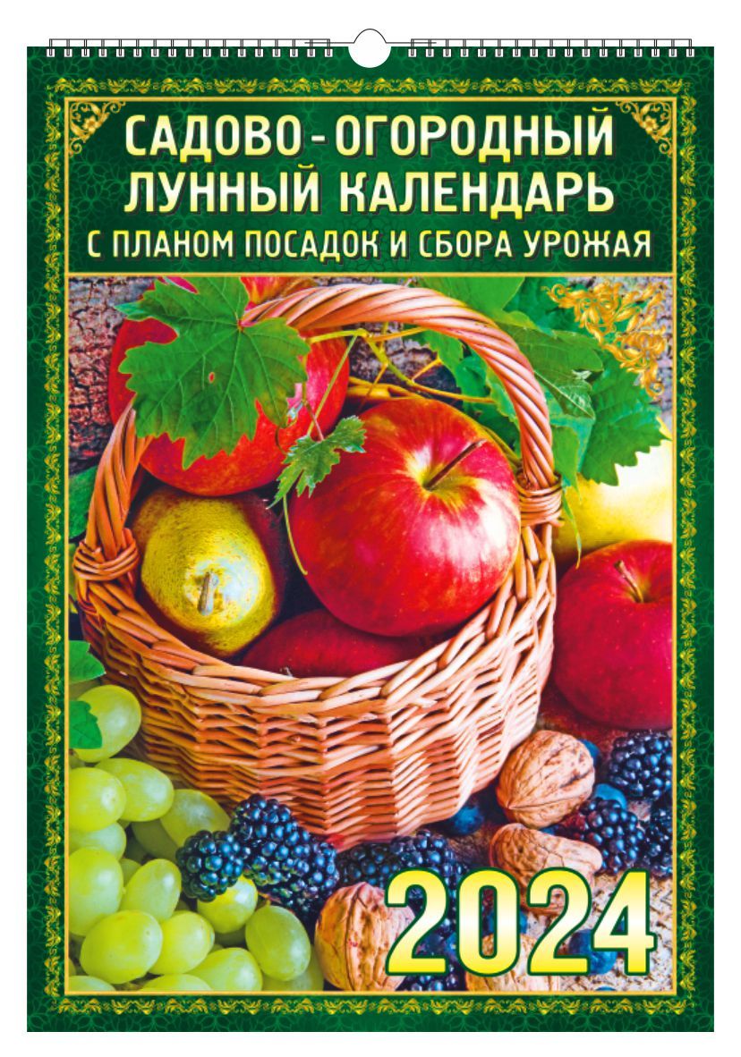 Садово огородный лунный календарь на 2024 август. Садово-огородный лунный календарь. Лунный огородный календарь 2024. Ригель для календаря. Садово-огородный лунный календарь на 2024 год.