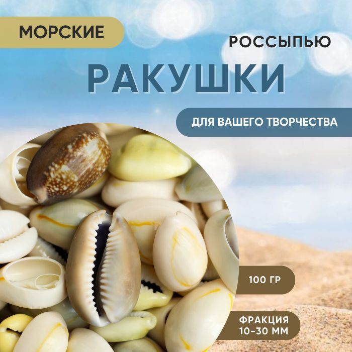 Ракушкиморскиенатуральные