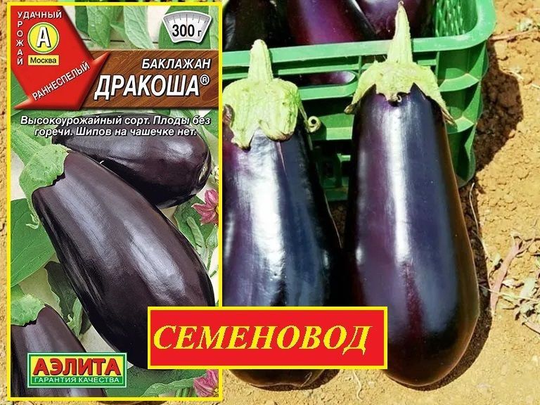 баклажаны семена дракоша аэлита. баклажан дракоша. баклажан "дракоша". аэлита баклажан дракоша. баклажан дракоша.