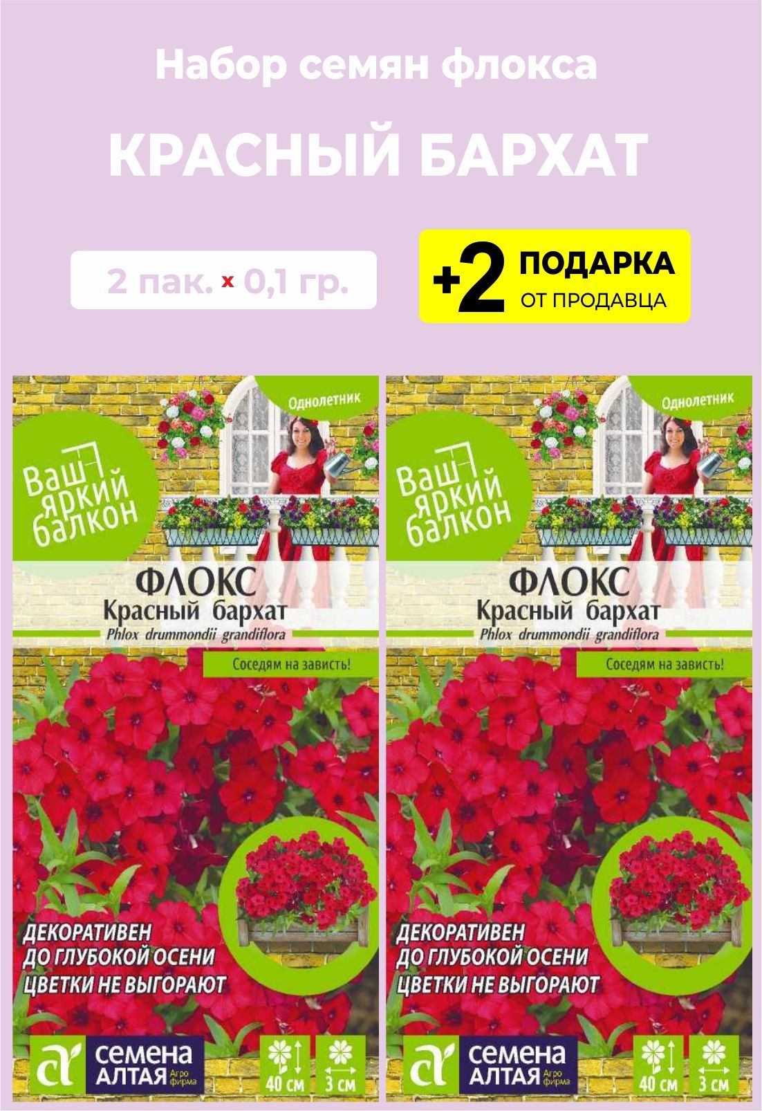 Флоксы Однолетние Купить Семена