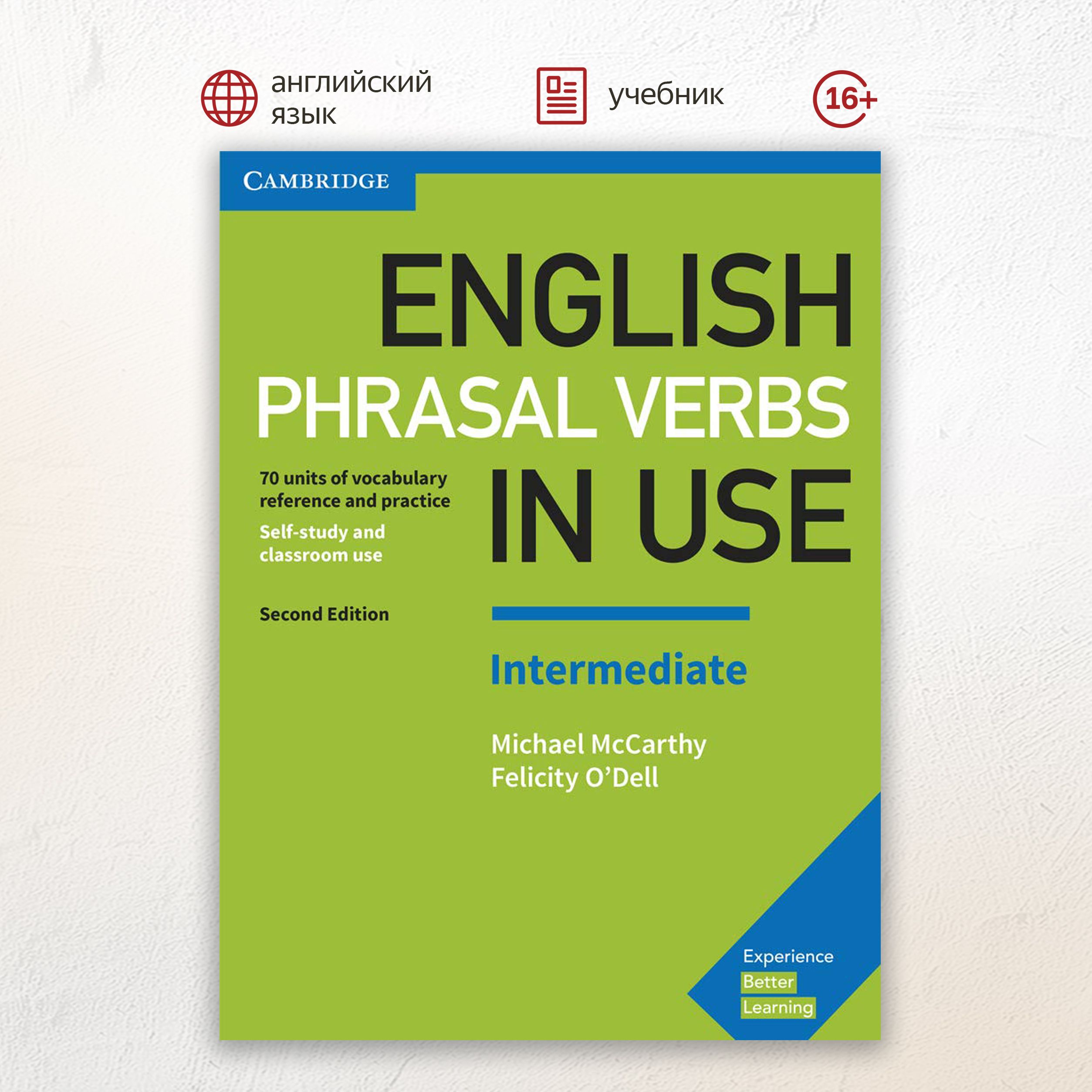 English Phrasal Verbs in Use Intermediate Second Edition Book with Answers,  пособие по лексике с ответами - купить с доставкой по выгодным ценам в  интернет-магазине OZON (1256419541)