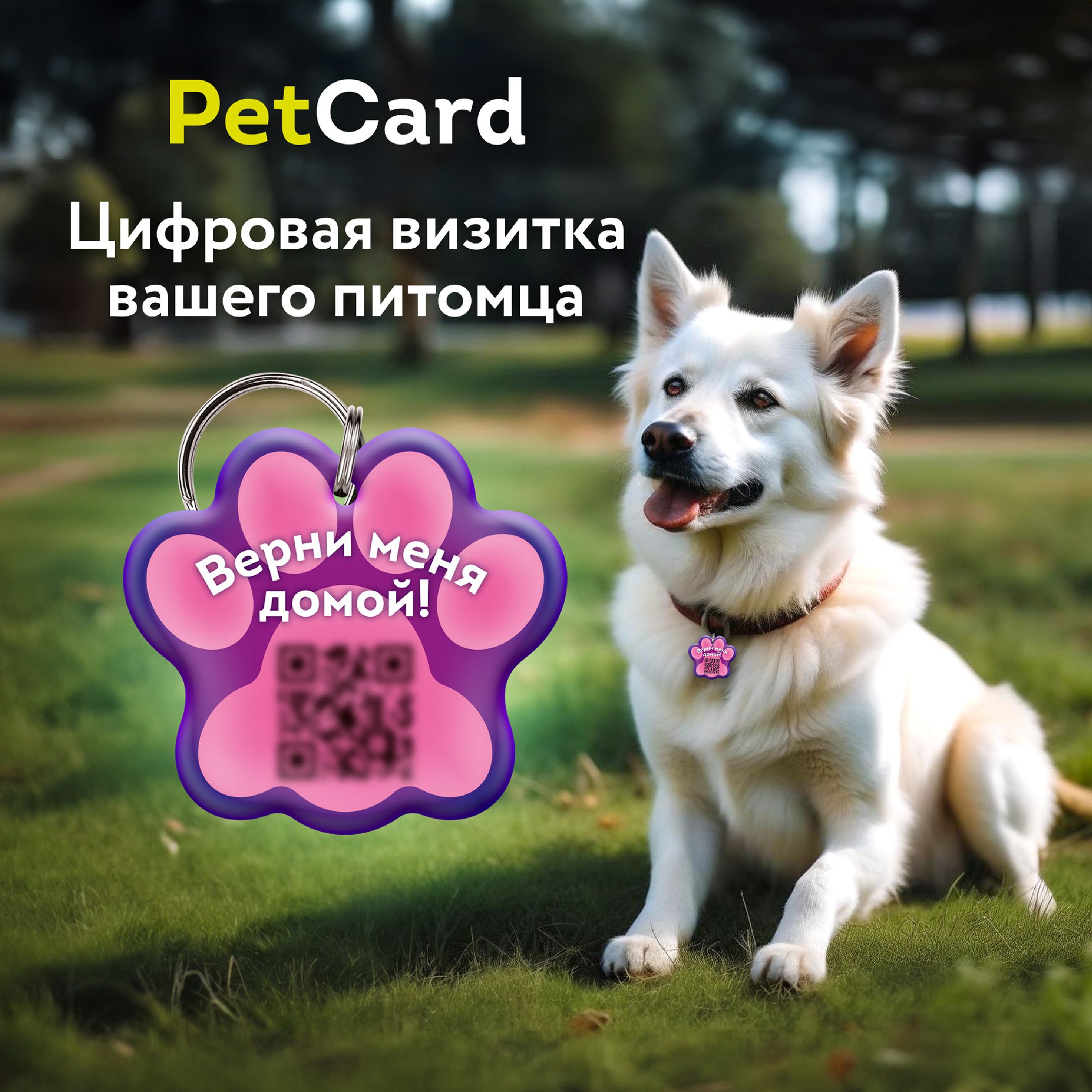 Адресник для собак и кошек с QR кодом и NFC/ цифровая визитка PetCard,  розовая. - купить с доставкой по выгодным ценам в интернет-магазине OZON  (1259128222)