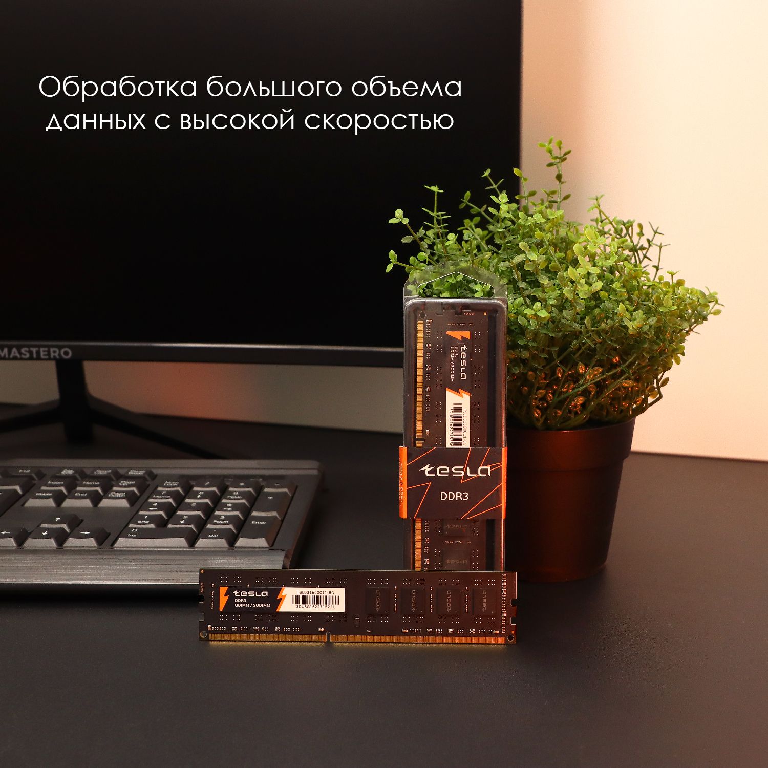 TESLAОперативнаяпамятьDDR31600МГц.1x8ГБ(TSLD3-1600-C11-8G)