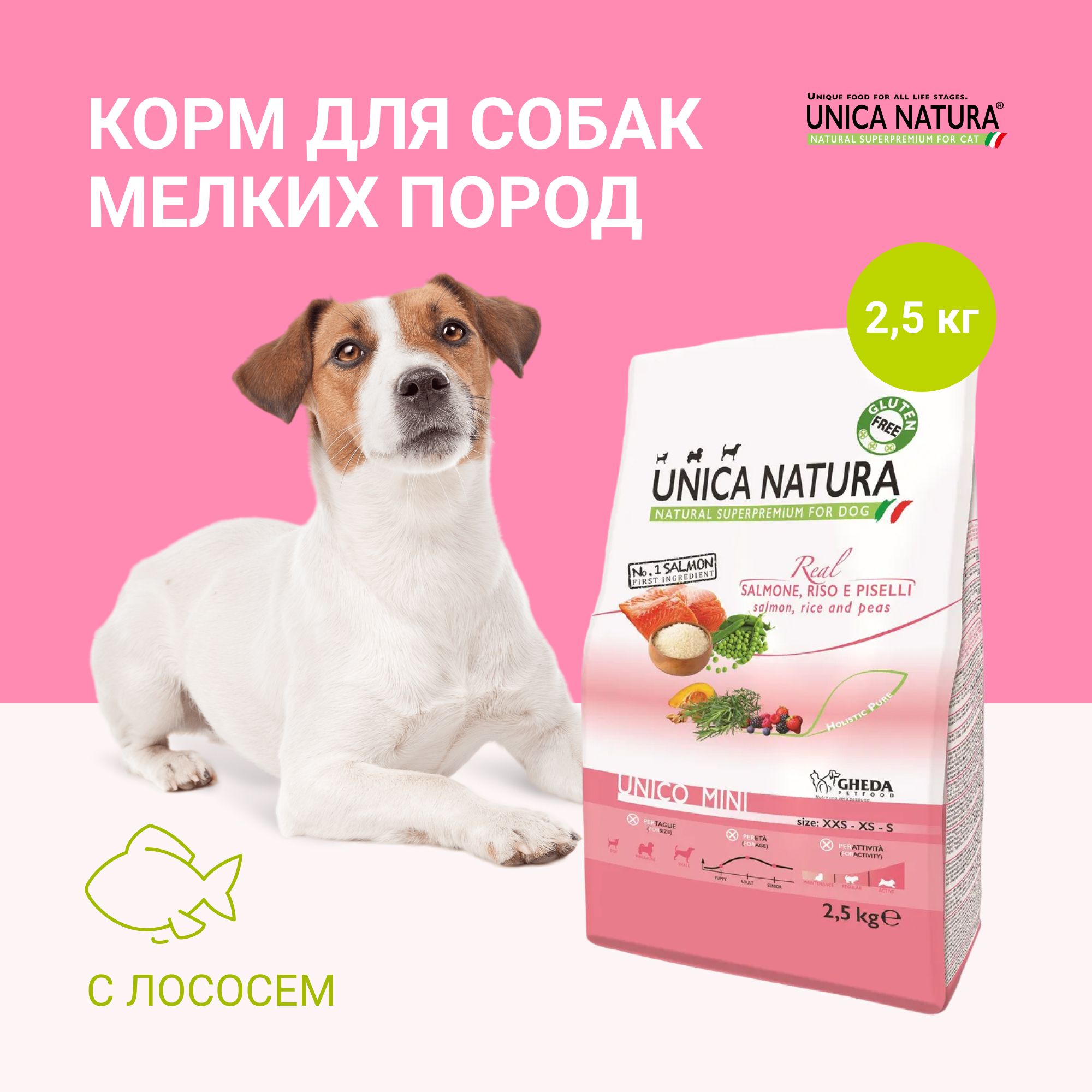 Daily Dog Корм Для Собак Купить