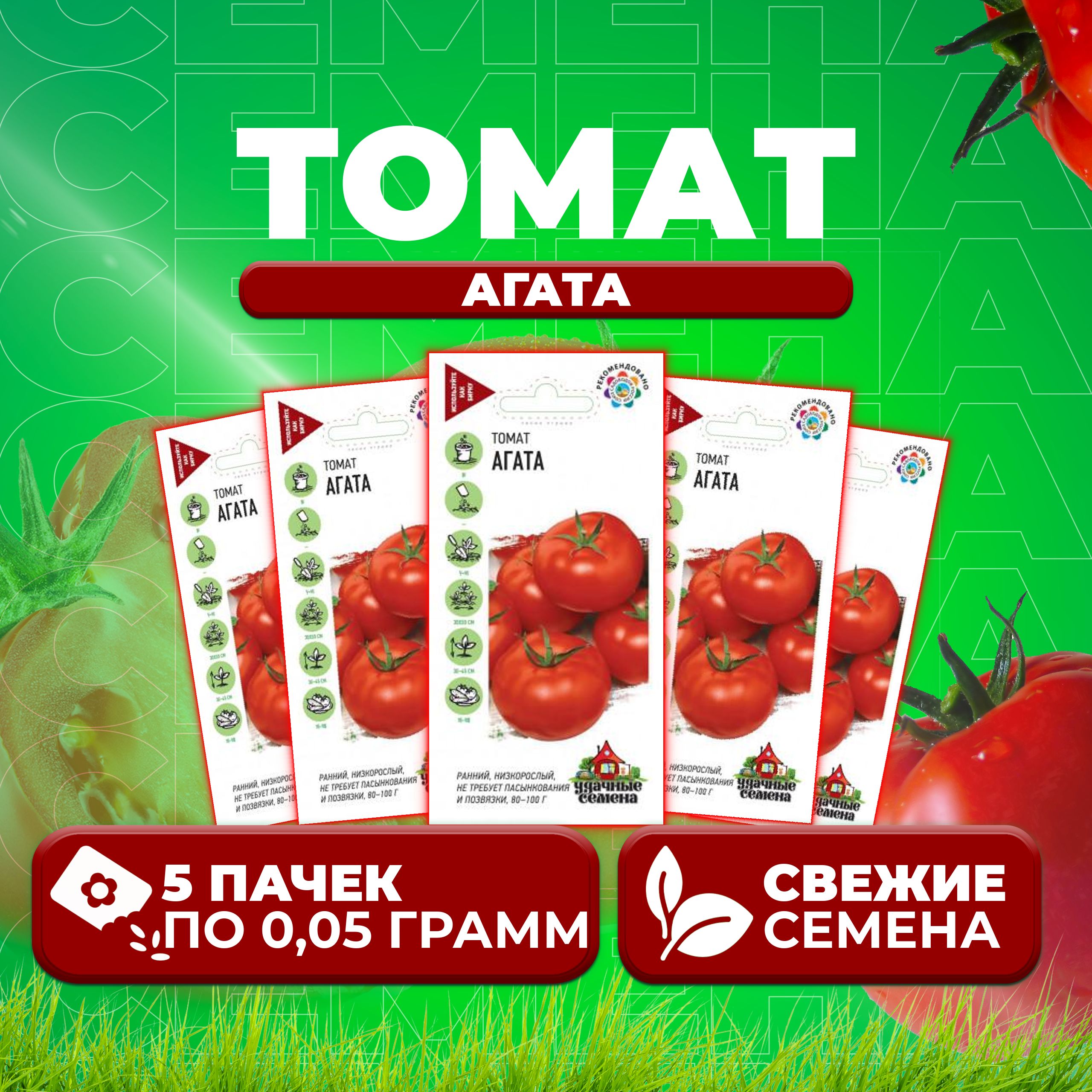 Томат Агата Характеристика И Фото