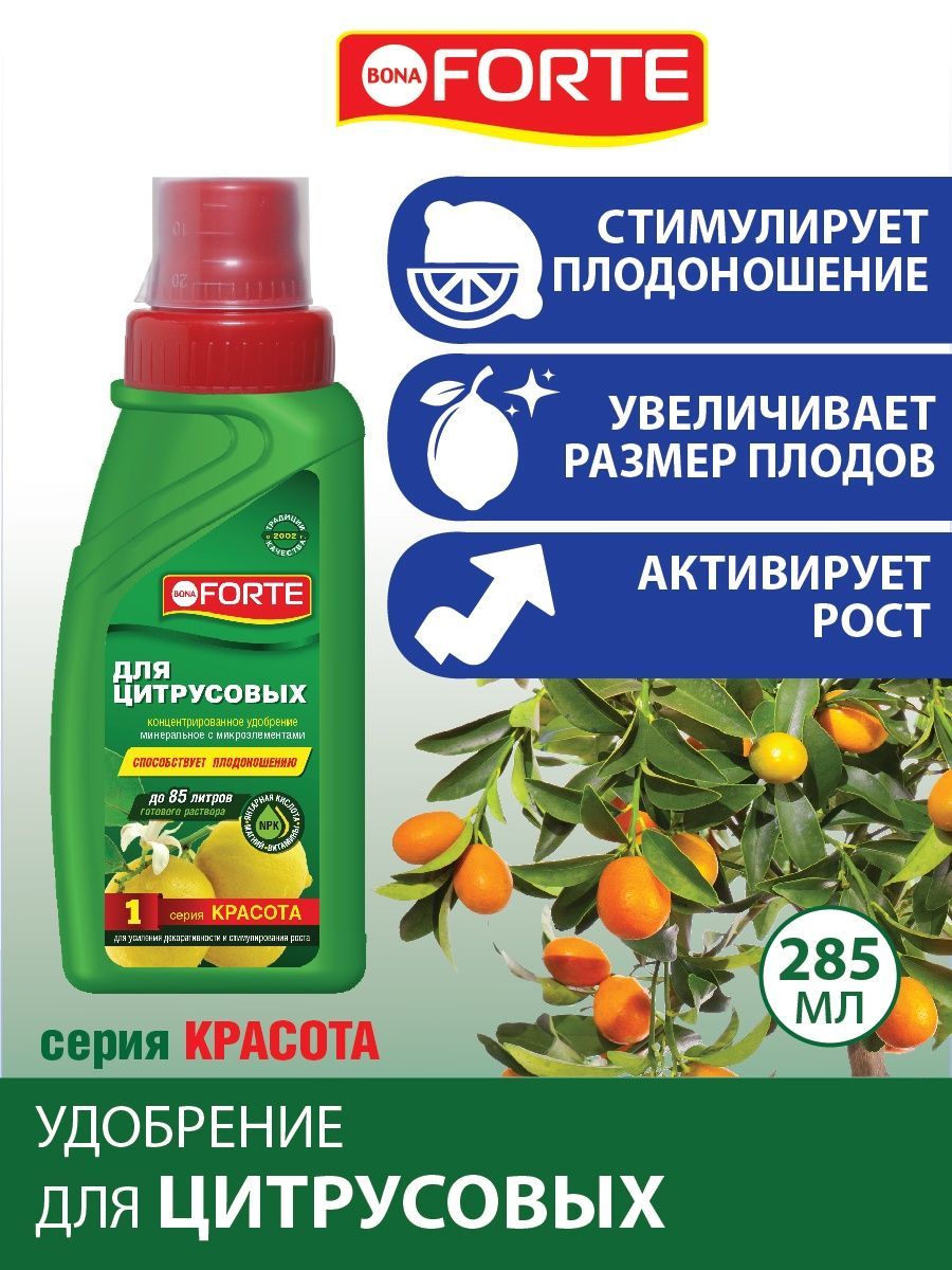 Форте для цитрусовых. Бона форте жидкие удобрения. Bona Forte для цитрусовых. Уобренние Боне форте