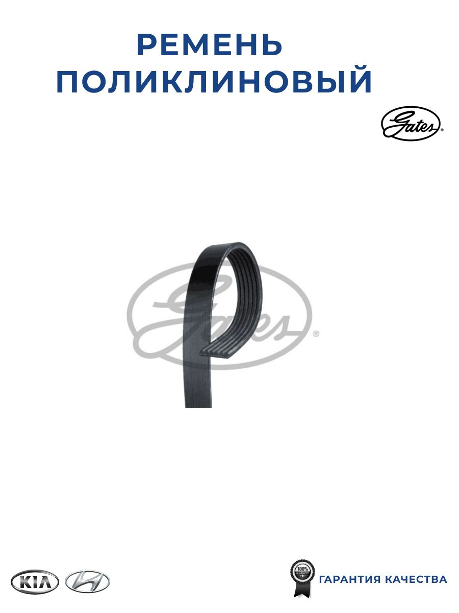 Поликлиновый ремень привода вспомогательных агрегатов Micro-V Unique Fit, GATES 6PK1208XS для а/м NISSAN, KIA