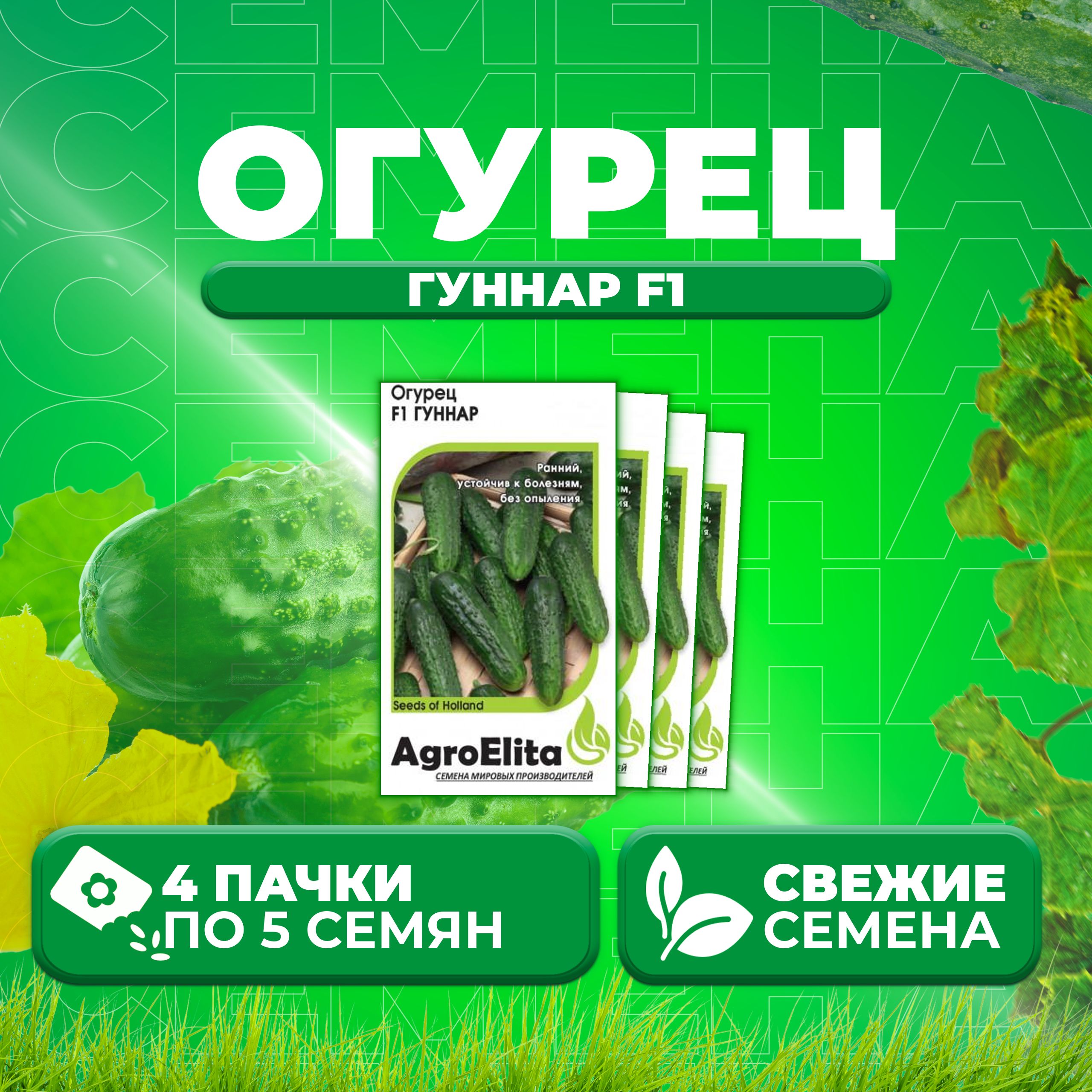 Огурцы Артист Отзывы Фото
