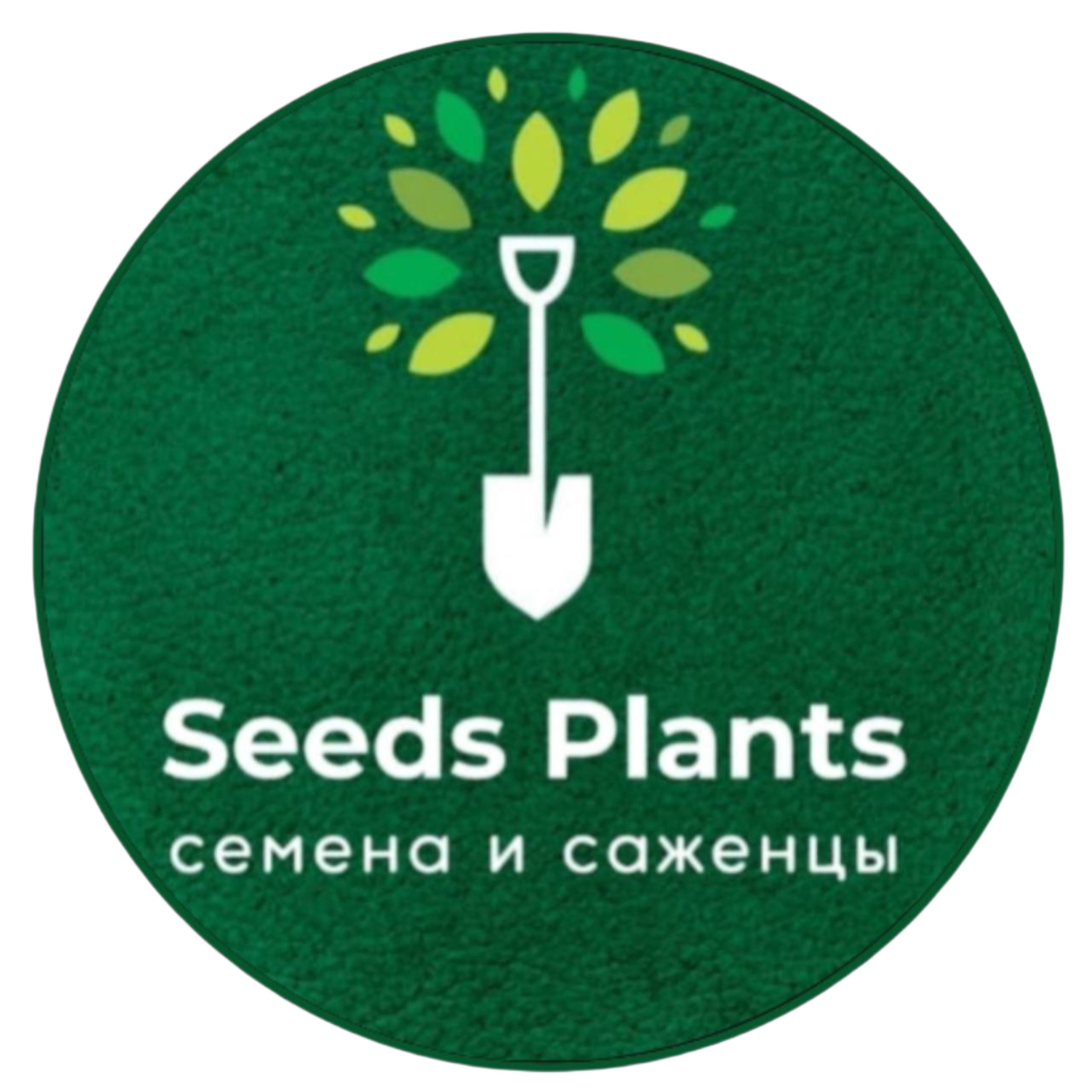Seeds Plants — купить товары Seeds Plants в интернет-магазине OZON