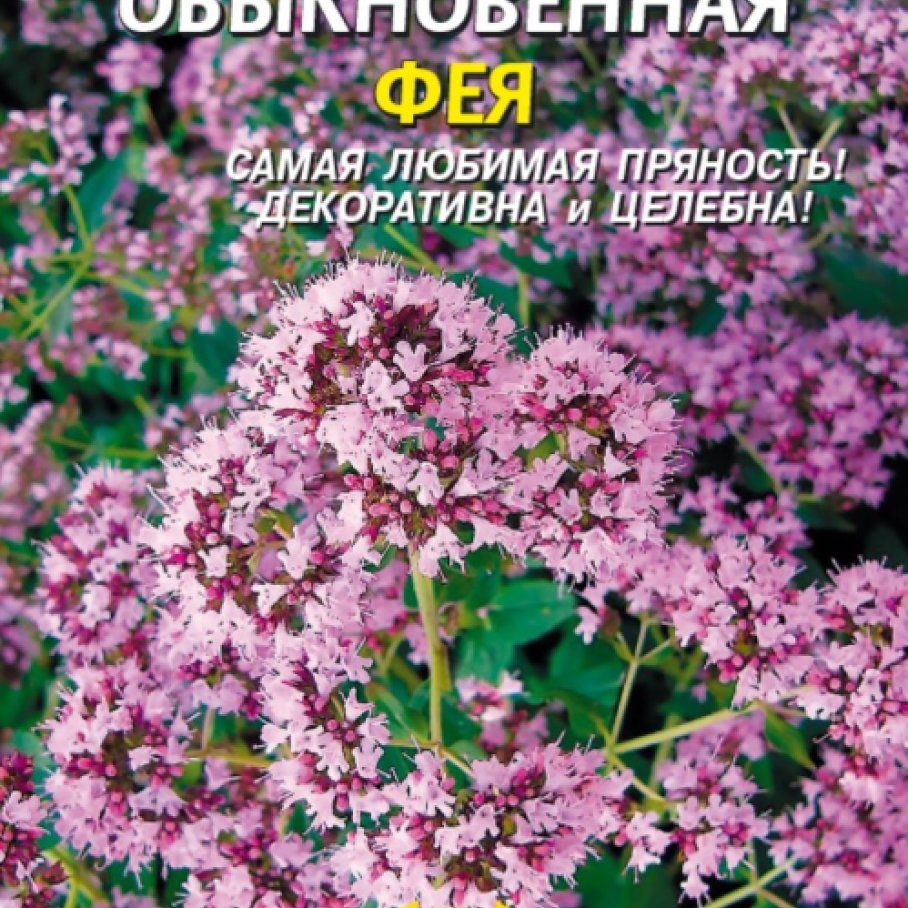 Душица сорта. Душица обыкновенная семена. Душица (орегано) Фея, 0,1г, Гавриш. Душица обыкновенная (орегано). Душица обыкновенная Фея.