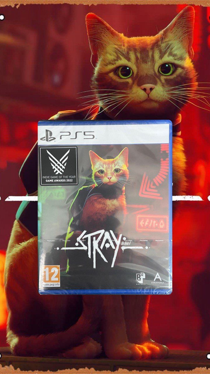 Игра Stray (PlayStation 5, Русские субтитры) купить по низкой цене с  доставкой в интернет-магазине OZON (1325309134)