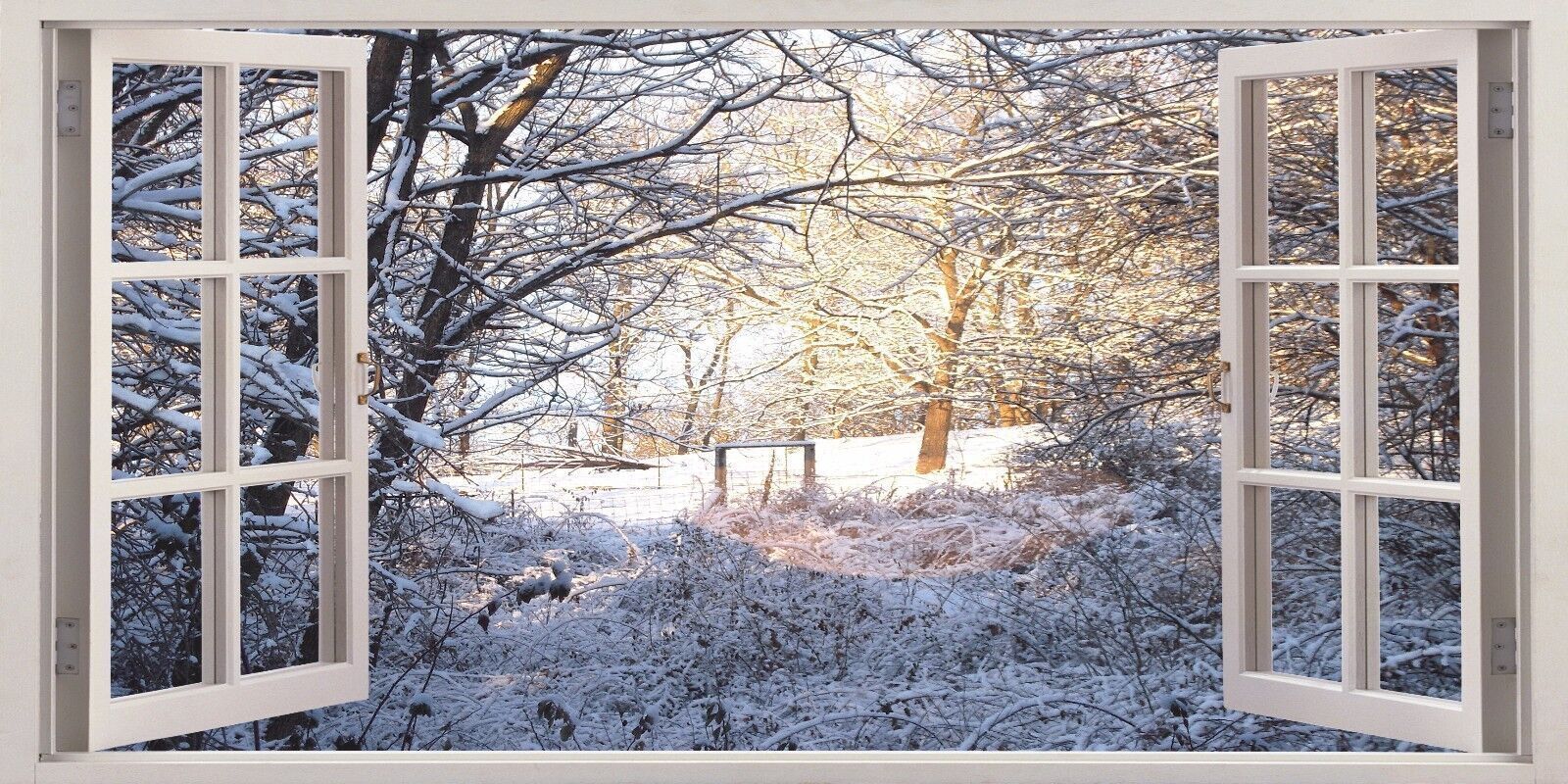 Fred bouchal snowy morning