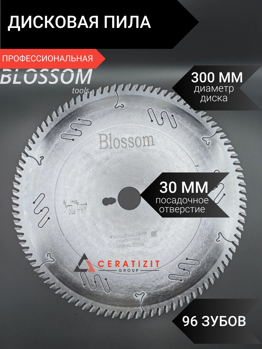 Диск пильный Industrial grade Blossom 300x3.2x30 - купить по низким ценам в  интернет-магазине OZON (745380825)