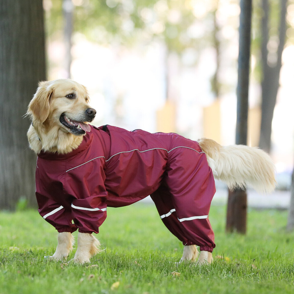 Одежда для собак крупных и средних пород JOY Комбинезон дождевик для самок  #1