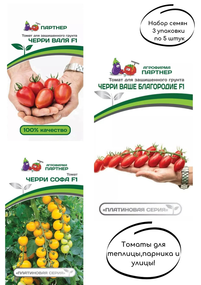 томат черри софа