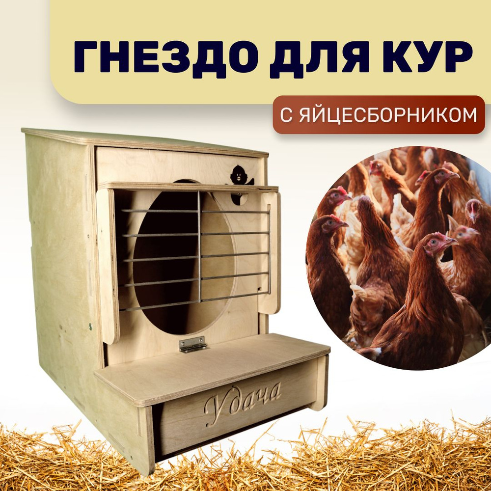 Гнездо для кур несушек с яйце сборником подвесное или напольное в ...