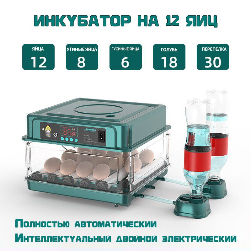 Автоматический инкубатор на 12-98 яиц - купить с доставкой по выгодным ...