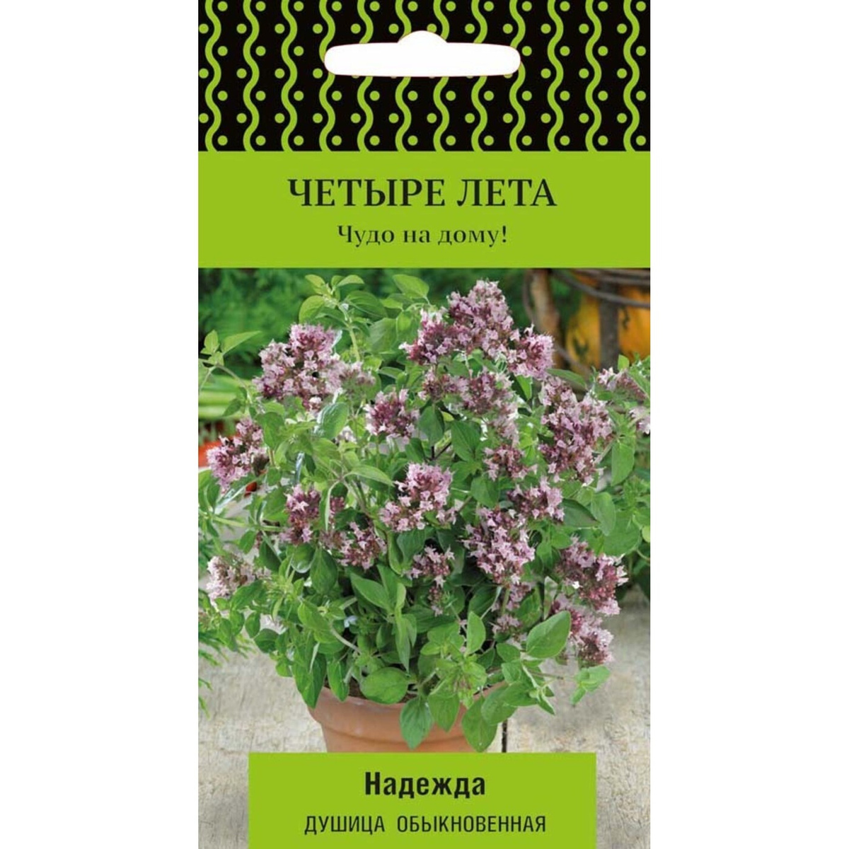 Орегано фото и описание. Душица обыкновенная надеж. Душица обыкновенная Надежда. Душица Кентская красавица семена. Душица обыкновенная Надежда (а) 20 шт.