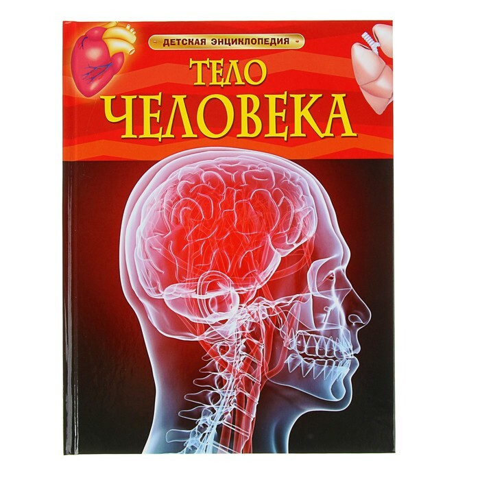 Новый Год На 1 Человека Новый Год На 1 Человека