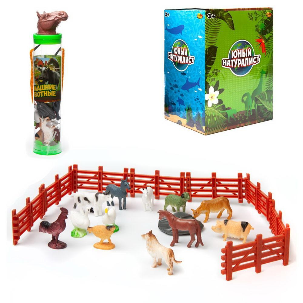 Игровой набор ABtoys Юный натуралист в тубе "Домашние животные ...