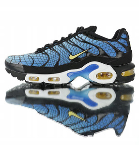 hibbett sports air max plus