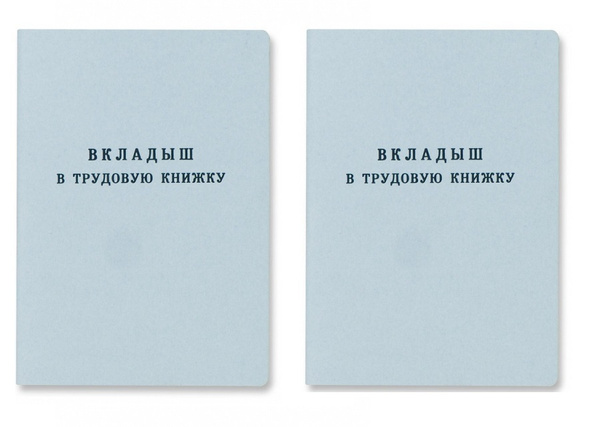 Вкладыш к трудовой книжке - 2 штуки купить на OZON по низкой цене ...