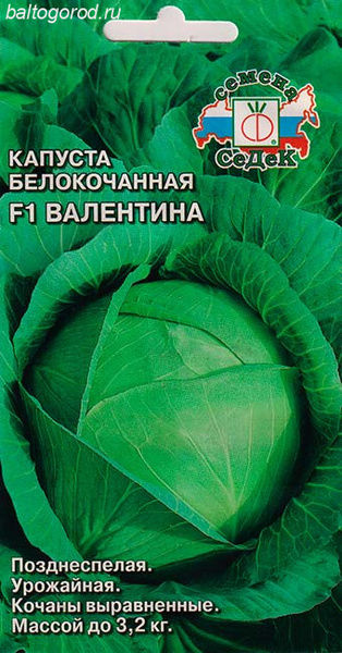 Капуста валентина отзывы фото Капуста Седек кс-2006 - купить по выгодным ценам в интернет-магазине OZON (44548