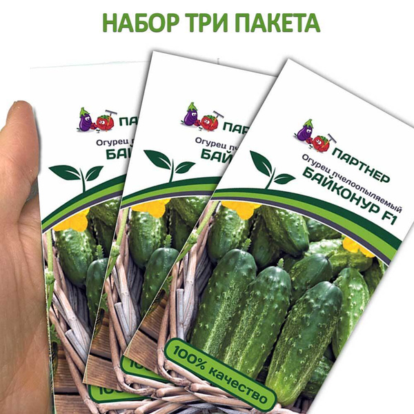 Огурцы Эстет Отзывы Фото