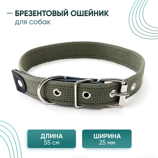 Ошейник для собак брезентовый, длина 55 см ширина 25 мм - купить с ...