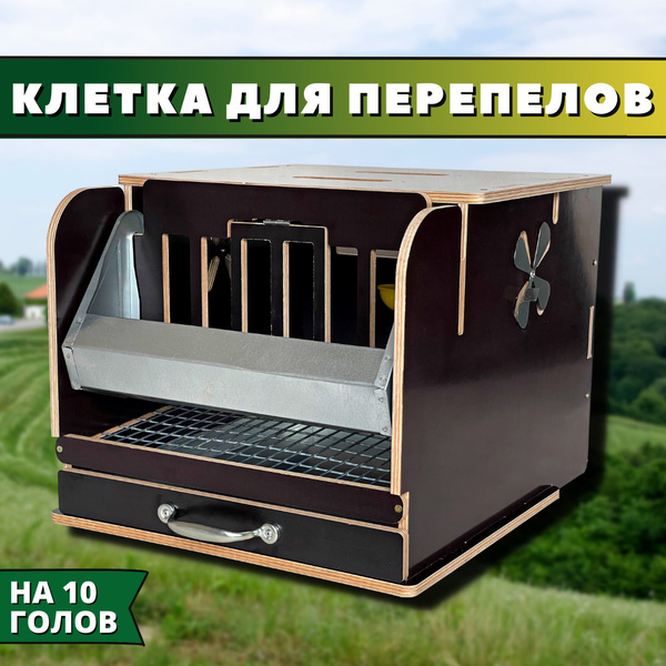 Клетка для перепелов на 10 голов "Удача" - купить с доставкой по ...