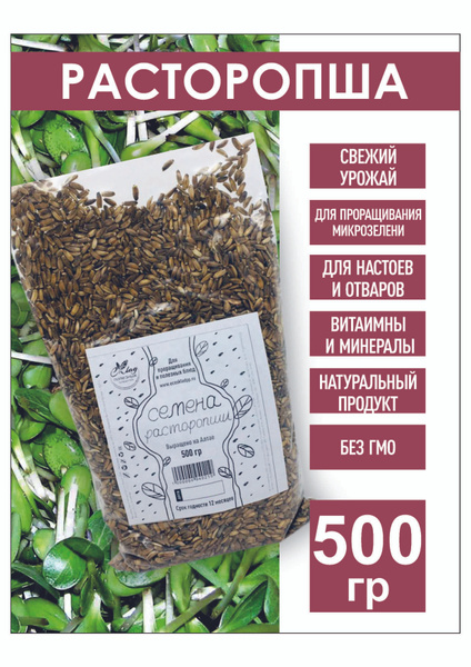 Семена расторопши, 500 гр. расторопша для проращивания - купить с ...