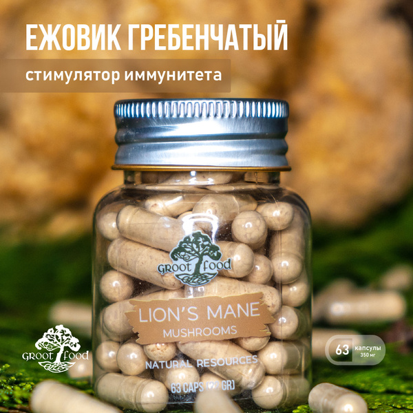 Ежевик Гребенчатый /Lions Mane/Heriсium - купить с доставкой по ...