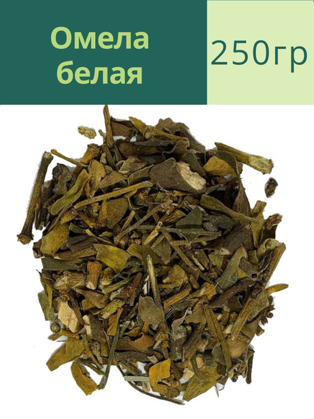 Омела белая трава побеги (Горная Адыгея) (250гр) - Родные Травы ...