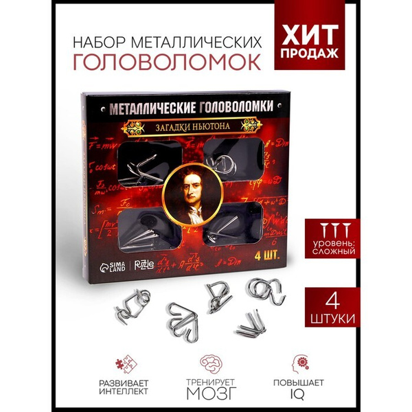 Металлические головоломки "Загадки Ньютона" (набор 4 шт) - купить с ...