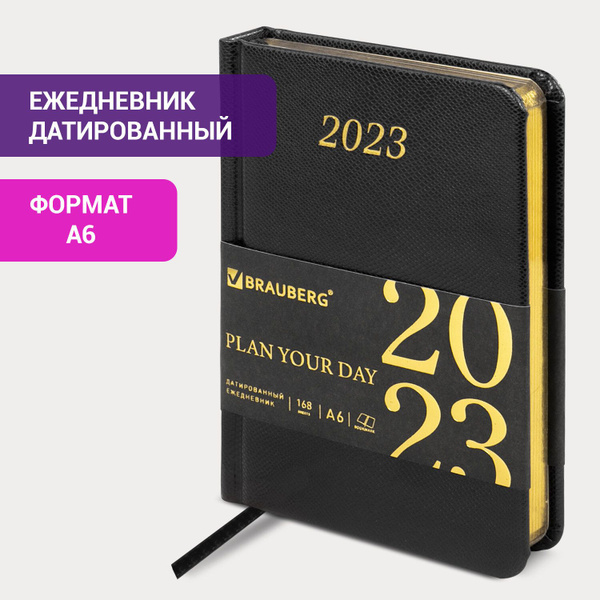 Ежедневник датированный на 2023 год, малого формата А6, Brauberg Iguana ...