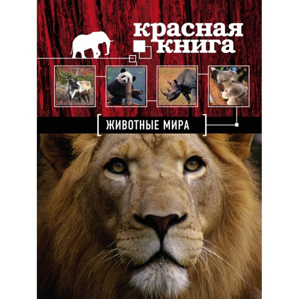 Энциклопедия. Красная книга. Животные мира. Скалдина О.В. - купить с ...