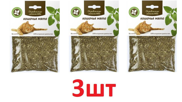Кошачья мята Валдбериес