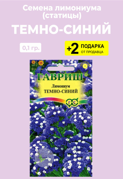 Статица, Лимониум (Кермек) Проверенные семена Лимониум4_белый - купить ...
