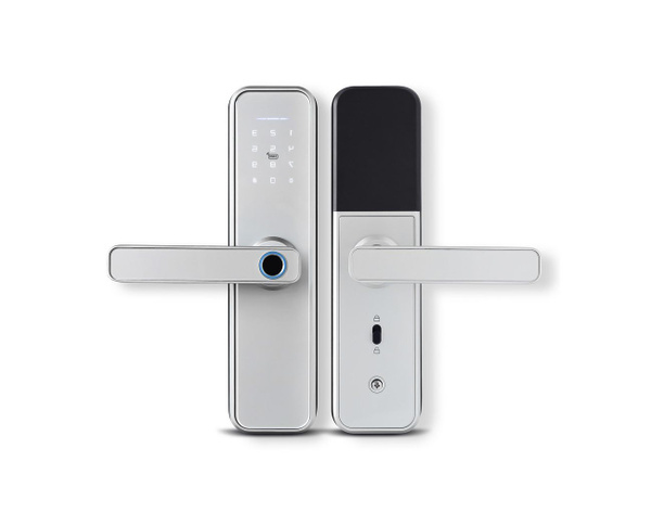 HD-ком Tuya-Wi-Fi (СЛ-801)Л (C9666008S) - биометрический электронный Wi ...