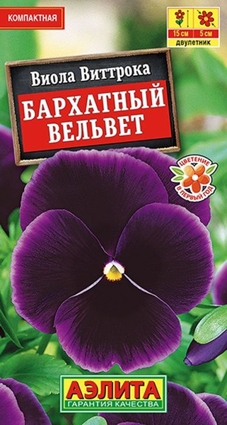 Виола Вирокка клубничный