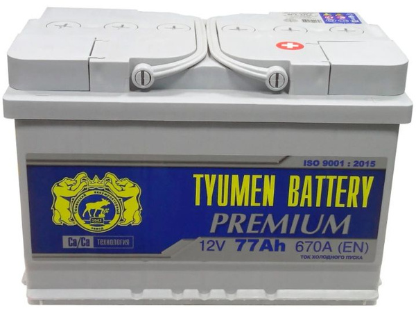 Аккумулятор автомобильный Tyumen Battery PREMIUM купить по выгодной ...