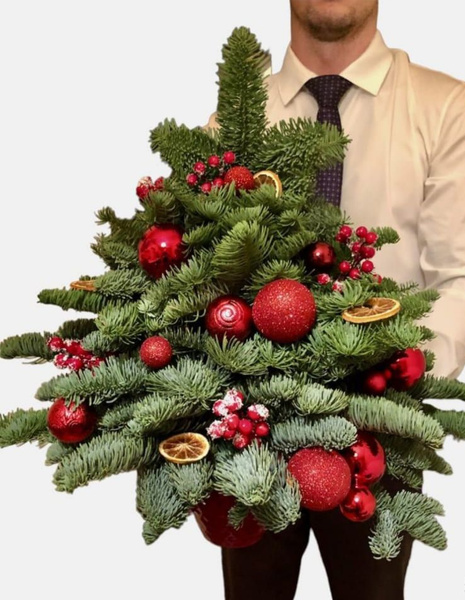 Елка живая JUM FLOWER - купить с доставкой по выгодным ценам в интернет ...