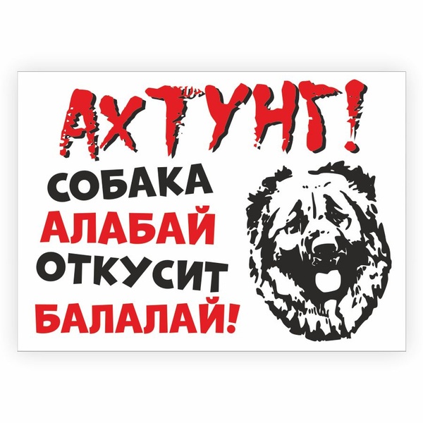 Табличка, осторожно злая собака, прикол, на дверь, на забор, 25 см, 18 ...