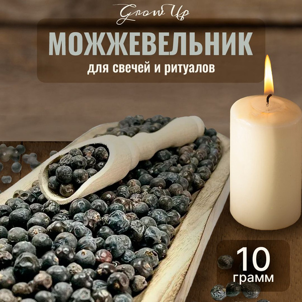 Можжевельник сушеные ягоды 10 гр - сухоцветы для свечей, творчества и ...