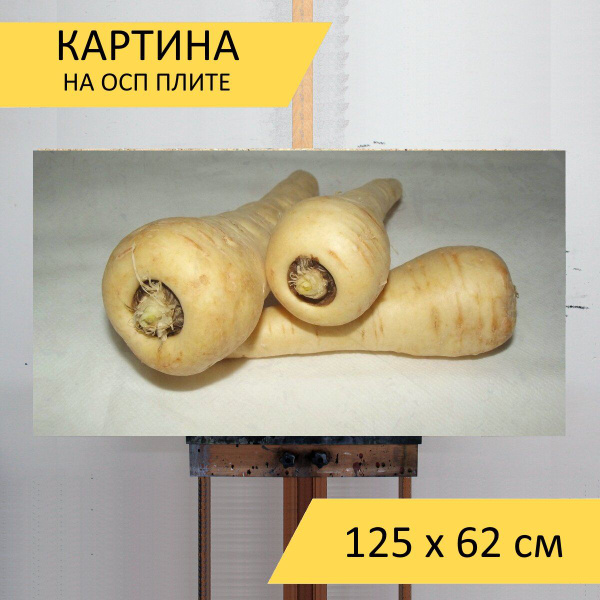 Картина "Пастернак, овощи, свежий" для интерьера на стену / Декор в ...